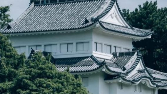 日本名古屋城-日本樂高樂園-名古屋港水族館-包車-周邊多日。