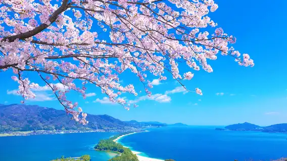 ทัวร์วันเดียว/ทัวร์หลายวัน[เรือชมทะเลให้อาหารนกนางนวล]