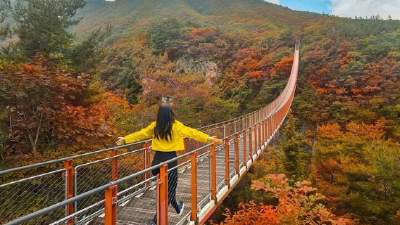 SeoulTours