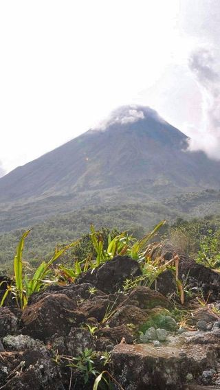 哥斯大黎加拉福爾圖納阿雷納爾火山、溫泉1人起訂