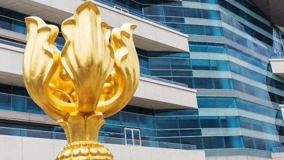 乘叮叮車丨中國香港港風探知純玩一日丨天星小輪+流量卡+太平山頂