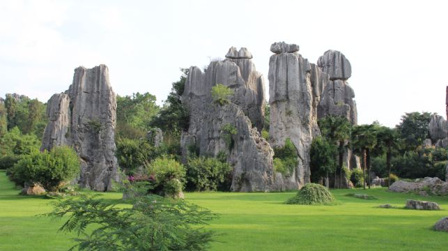 【獨立包車】雲南昆明石林風景區一日遊