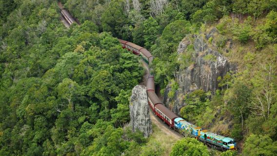 N. Queensland: Kuranda Rainforest Full-Day Tour