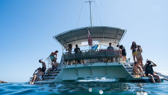 Nelson Bay: Marine Discovery Cruise with Snorkeling