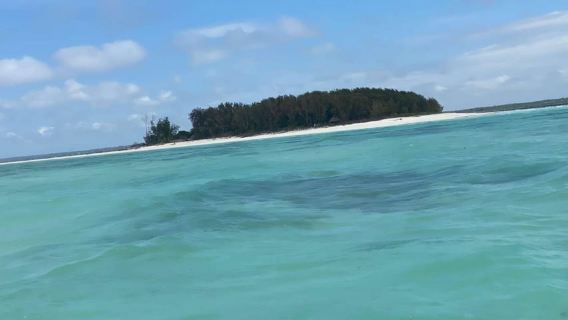 Zanzibar: Mnemba snorkeling, dolphin & Jozani Forest tour