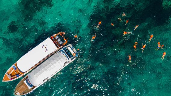 ทัวร์หมู่เกาะสิมิลันด้วยเรือสปีดโบ๊ท 1 วัน (รวมบริการรับ-ส่ง อาหารเช้า-กลางวัน ดำน้ำตื้น เครื่องดื่มและผลไม้)