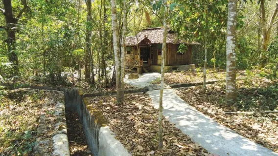 Ho Chi Minh: medio día por los túneles de Cu Chi - Tour diario