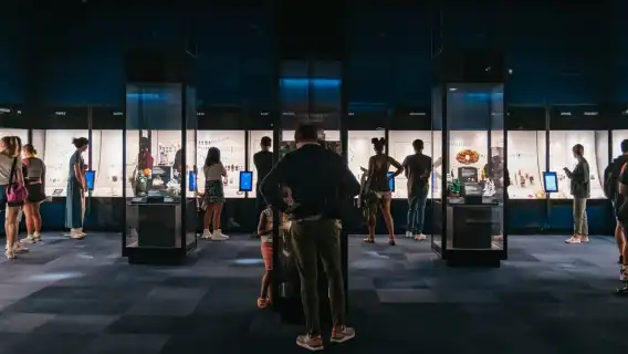 New York City: American Museum of Natural History Ticket