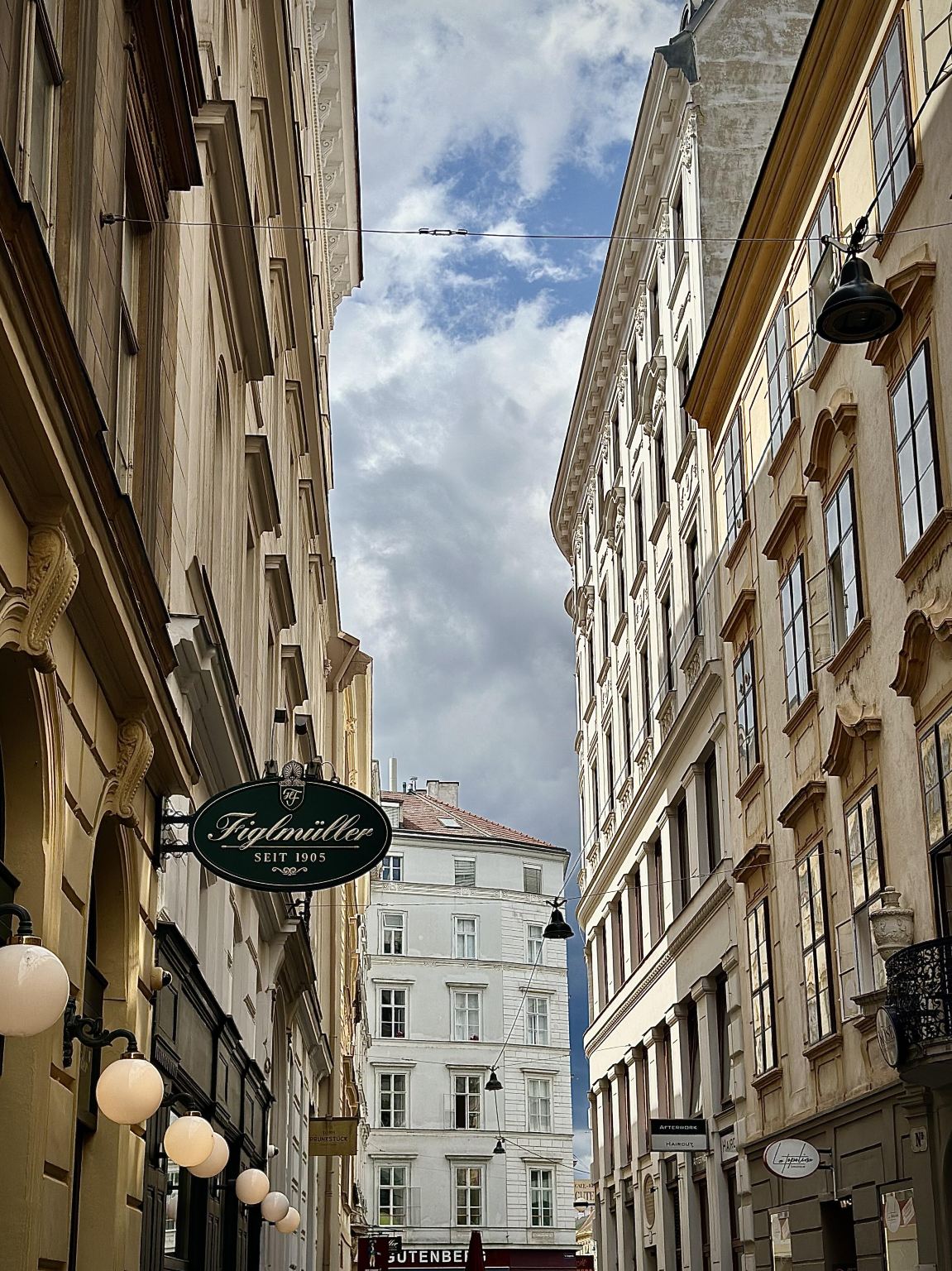 servizio di prenotazione ristorante Figlmüller, famoso ristorante a Vienna, Austria