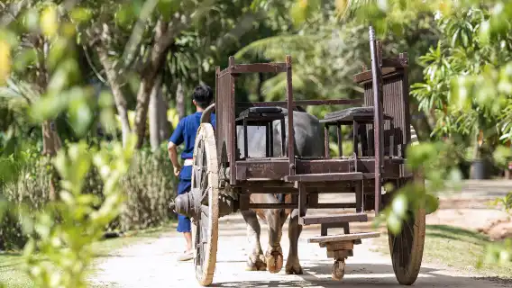 布吉老布吉農場（old phuket farm）農場參觀活動體驗