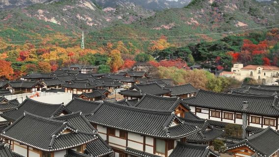Excursión de un día por los alrededores de Seúl | Pico Aegi DMZ + Hanok de Eunpyeong + Parque del Cielo - Excursión de un día