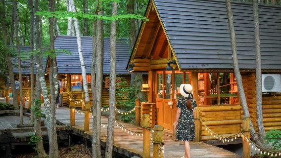 Hokkaido + Zoo d'Asahiyama + Terrasse des elfes de la forêt + Étang bleu - Excursion d'une journée|Voyage de conte de fées