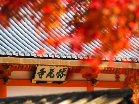 大阪勝尾靈驗聖地+愛宕唸佛寺+京都嵐山一日遊，千與千尋同款