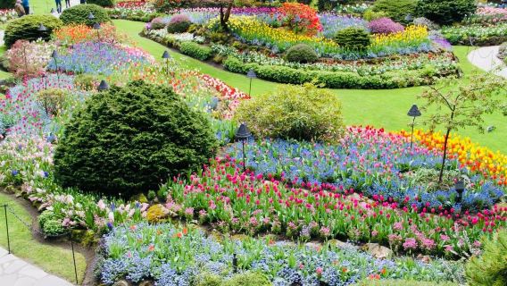 維多利亞1日遊（含BC渡輪+寶翠花園）溫哥華來回/兩人成團