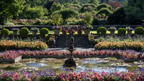 加拿大溫哥華布查德花園浪漫一日遊【專屬司導10H服務】