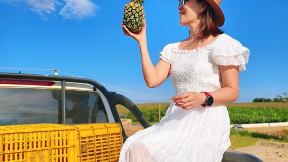 湛江徐聞一日遊|10小時包車|菠蘿的海+大陸南極村+合水線