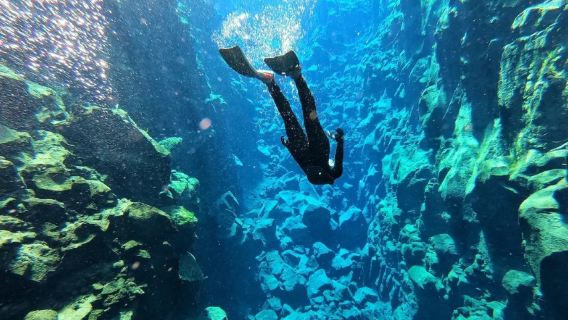 Islande Reykjavik | Expérience de plongée avec tuba dans la faille de Silfra | Petit voyage en groupe