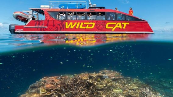 แอร์ลีบีช: ล่องเรือเที่ยวกลางวัน + ดำน้ำตื้น + อาหารกลางวัน