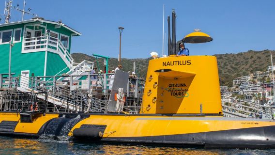 Los Angeles: Semi-Submarine Excursion from Catalina Island