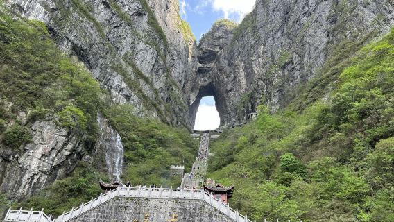 Zhangjiajie: Lawatan Peribadi 1 Hari Taman Negara Hutan (Gunung Avatar) & Gunung Tianmen