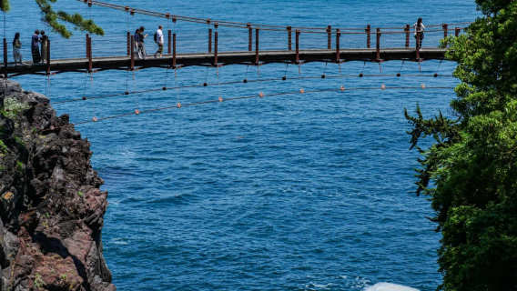 Tour di un giorno da Tokyo: Città costiera di Ito + Mt. Omuro + Fiera delle Illusioni + Costa di Katsuura