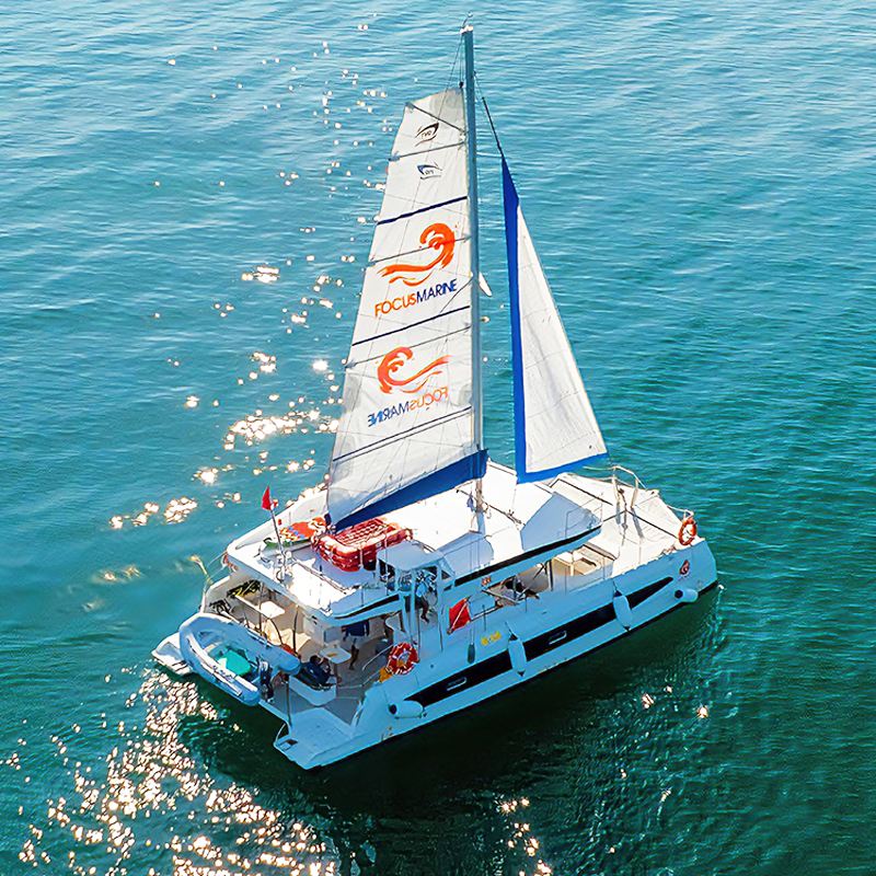 푸꾸옥 섬 쌍동선 세일링 보트 당일 치기 여행 [스노클링 + 바다 낚시 + 워터 슬라이드 + 해산물 바비큐]