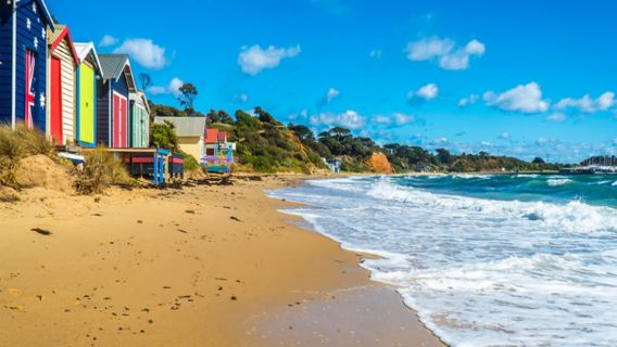 【中文團】墨爾本賓士小團一日遊►蒸汽火車+莫寧頓半島一日遊