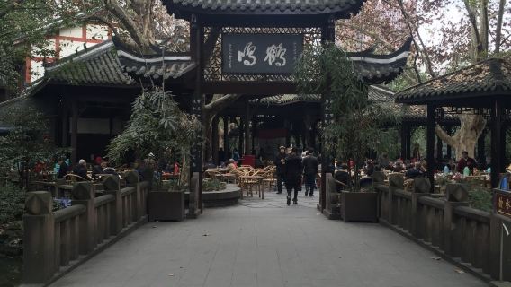 成都出發文殊院+人民公園+鶴鳴茶社+武侯祠+錦里古街包車一日遊
