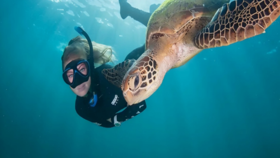 Фенимор - однодневный тур на остров Изумруд и Мур Риф с лайнером Sunlover из Кэрнса, комплексный обед/пакет услуг (туда и обратно на корабле).