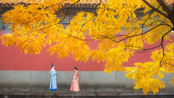 [Vanuit Hangzhou - Dongyang] Hengdian World Studios + Paleizen uit de Ming- en Qing-dynastieën + Langs de rivier tijdens het Qingming-festival