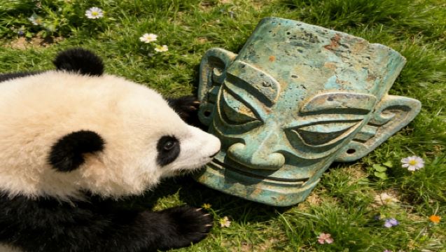 Chengdu Panda Base + Sanxingdui 1-Day Tour with Live Guide, Admission Ticket & Round-Trip Transfer