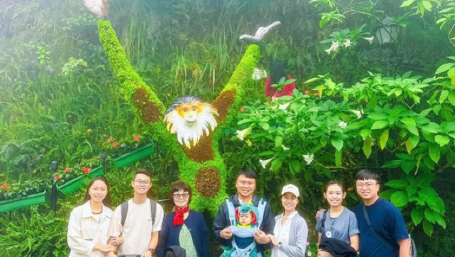 Small group tour to Golden Bridge in Ba Na Hills (Chinese and English guide)