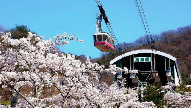 Tour di un giorno a Kyushu: Dazaifu + Funivia di Beppu + Esperienza sul treno panoramico Yufuin/Yufu no Mori