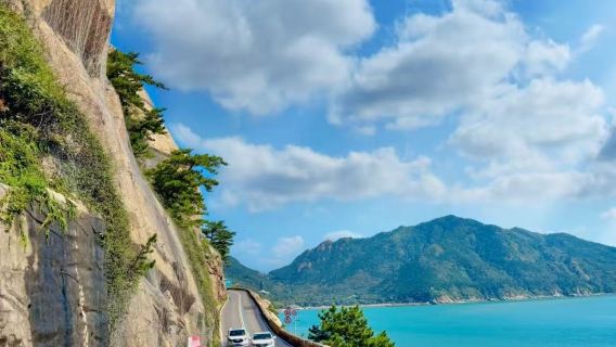 Laoshan tea-picking and beachcombing + Qingshan Fishing Village 1-day tour [includes admission ticket/door-to-door transfer/no join-in tour]