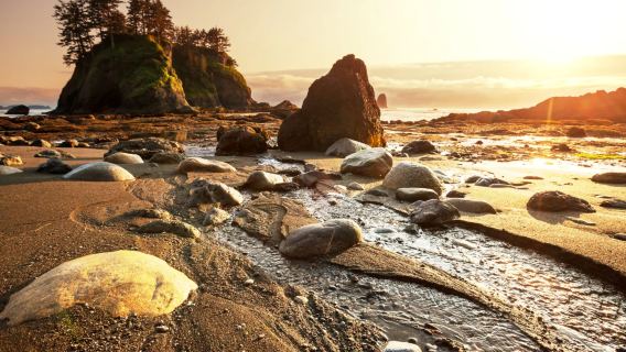 [Sewaan Peribadi Bahasa Cina] Seattle Pergi-Balik + Taman Negara Olympic + Hurricane Ridge + Crescent Lake (Bersenang-senang)