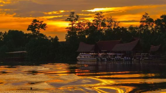 Kota Kinabalu Kawa-kawa river cruise experience (monkey spotting cruise + sunset beach viewing + night firefly cruise)