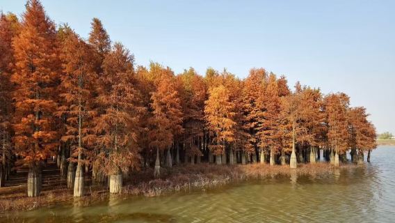 [Charterfahrt ab Nanjing] Tagesausflug zum Zhima-Berg in Nanjing | Exklusive Privattour mit klassischem Vergnügen