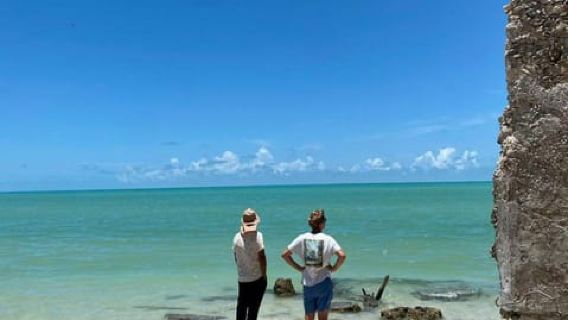 Yucatán Colors Tour: Rosa sjöar, Cenote & Strand från Mérida