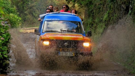 Funchal: Surprise Madeira Highlights for Cruise Guests