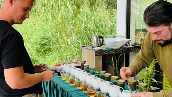 Ella: Tea Plantation Tour and Tasting Experience