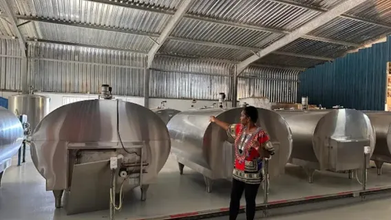 Curaçao: Aloe Farm, Ostrich Safari & Chobolobo Distillery