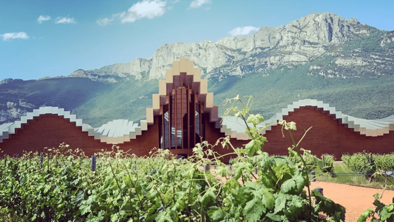 From Bilbao: Rioja Architecture and Wine Tour