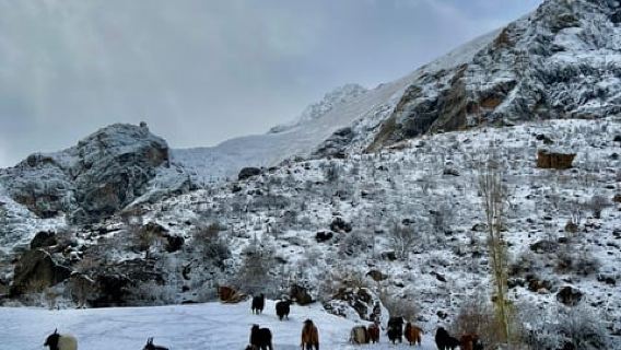 Seven Lakes Tajikistan: Fully Inclusive Day Tour