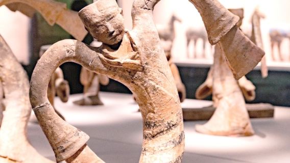 Kumpulan kecil eksklusif 20 orang/kumpulan persendirian Panduan secara langsung di Muzium Xuzhou + fon telinga
