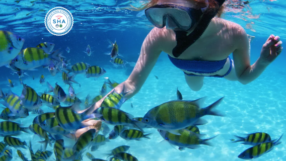 From Krabi: Phi Phi Islands, Maya Bay, Bamboo Island & Monkey Beaches Tour