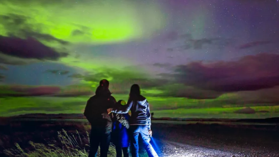 Tour in bus dell'aurora boreale in Islanda (opzionale trasferimento in minibus/bus + foto dell'aurora)