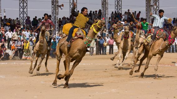 Explorez Pushkar depuis Jaipur : Visite du temple de Brahma et du lac sacré