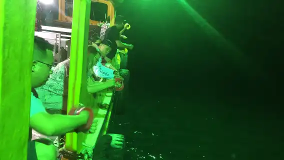 越南富國島夜釣墨魚【跟團行程|包含接駁和簡餐|提供工具