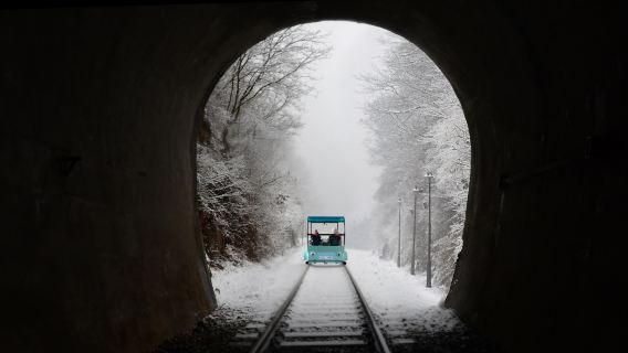 남이섬 + 강촌 레일바이크 일일 투어(서울 출발, 중국어 및 영어 가이드)