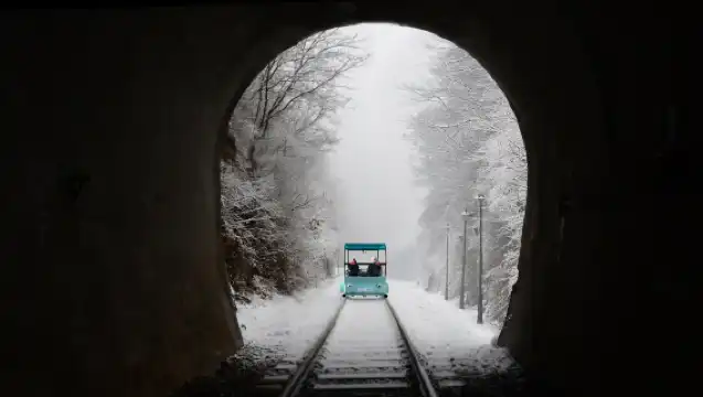 魚飛溪谷冰河+南怡島+羊駝世界+江村鐵道自行車一日遊 (首爾出發, 冬季限定)